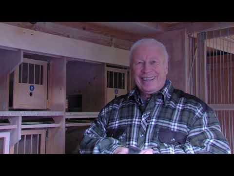 GOUDEN DUIF DUITSLAND 2020: Gunter Prange