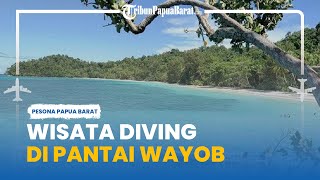Keindahan Pantai Wayob Fakfak Papua Barat, Hamparan Pasir Putih hingga Wisata Diving