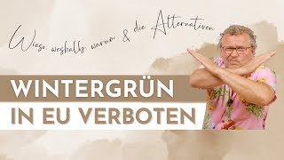 WINTERGRÜN - ÄTHERISCHE ÖLE ALTERNATIVEN | verwende diese ätherischen Öle statt Wintergrün