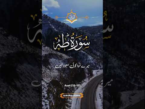 Surah Taha with Urdu translation #tilawat #shorts