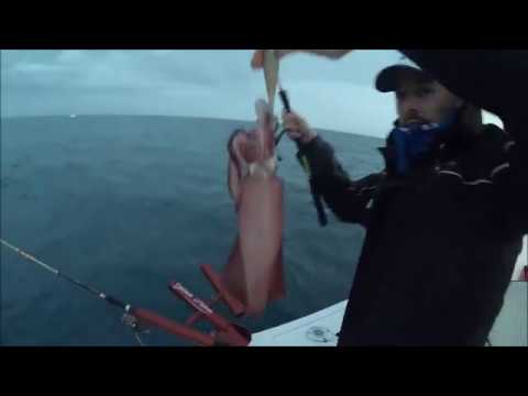 Pesca ai calamari con la  "tecnica pendino", in Liguria.