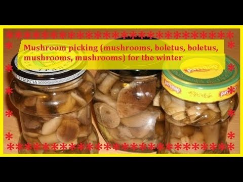 Mushrooms roll (OILS, ETC.) for the winter / Bon Appetit