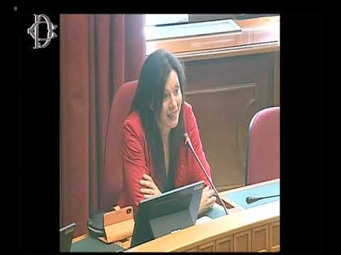 Roma - Interrogazioni a risposta immediata (19.07.23)