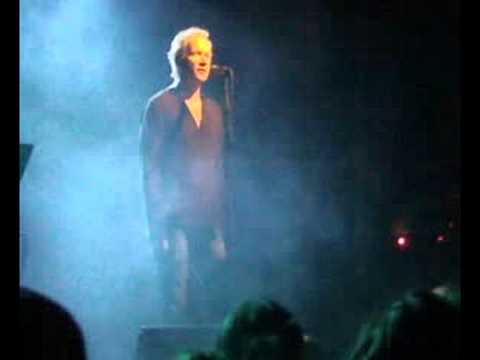 David Koller - Žádný city