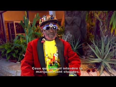 REGGAE AMBASSADORS - Bande-Annonce