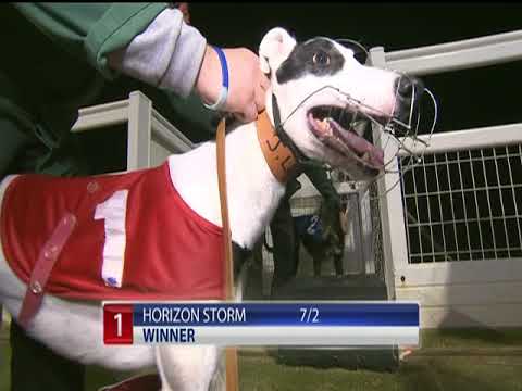 2017 ECC TIMBER STAYERS - T1 HORIZON STORM