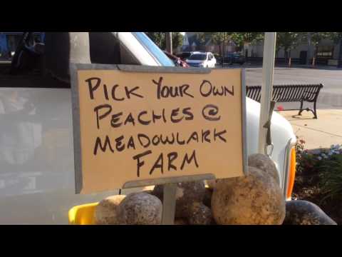 Farmers Market Series: How to pick out the perfect peach