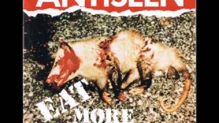 Antiseen - I've Aged 20 Years in 5