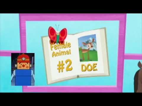 Franny's Feet - Rolex