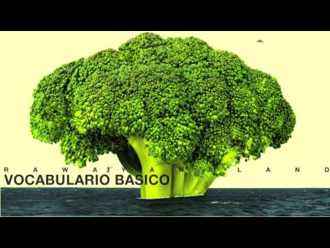 Vocabulario Básico