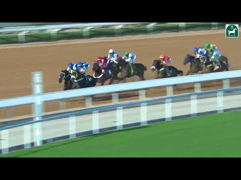 RIYADH RACING SEASON MEETING NO 37 RACE NO 1