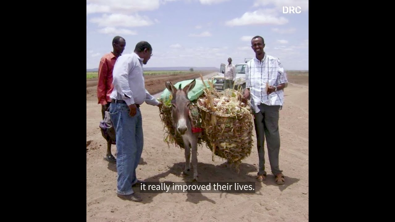 Abdiaziz’ story: “We create jobs for my uncles and nephews, so they can be self-sufficient"