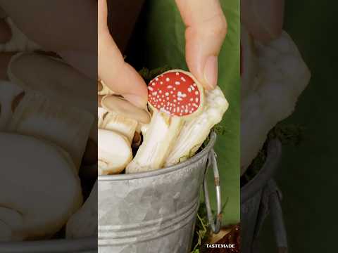 毒キノコ、食べられない致命的なフランス、ガレリナ・マルジナータを避けるために猫、犬