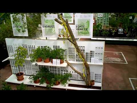 HHU "Jungle Food" Ausstellung - im Fluge