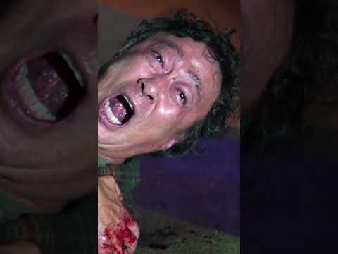 "Delectable. Dazzling. Park Chan-wook may be the most elegant filmmaker alive." – Variety. [Subtitled]