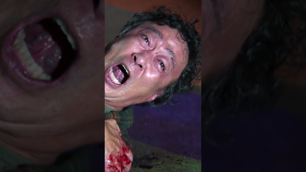 "Delectable. Dazzling. Park Chan-wook may be the most elegant filmmaker alive." – Variety. [Subtitled]