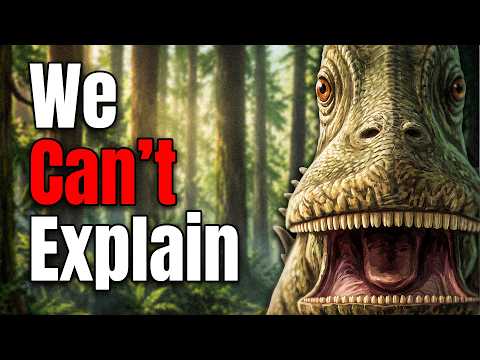 Flat Dinosaur Teeth