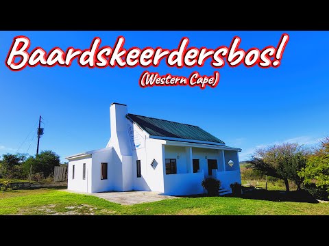 Baardskeerdersbos, Western Cape! Ep 483