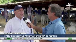 Miniatura do vídeo