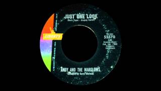 Just One Look-Andy & The Marglows-1963