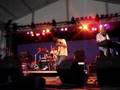 stephen malkmus - it kills (better audio source)