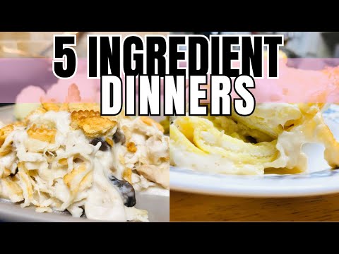EASY 5 INGREDIENT DINNERS | Affordable & Delicious Simple Family Meals | Simple Recipes