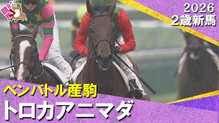 トロカアニマダが“億超え”２頭破ってデビュー勝ち！国分恭介騎手「上手に走り抜いてくれた」2026年10月4日(日)２歳新馬　京都芝2000m　実況：川島壮雄【カンテレ公式】