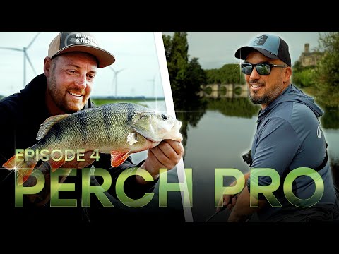 PERCH PRO 11 - Episode 4