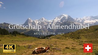 Grütschalp - Allmendhubel, Mountain View Trail in the Swiss Alps at Lauterbrunnen.  4k at 30 FPS