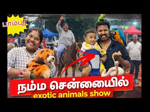 நட்சத்திரனுக்கு பயமே இல்லை. நம்ம சென்னையில் Exotic Pets Ah..!! | pawfest 2026 | #ungalpandiyamma 