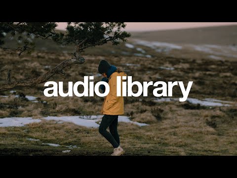 Void Edge – Lesion X (No Copyright Music)