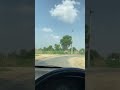 Pith Te Ta Badiya Burai Hundeya Amrit Maan Song Car Driving Status AS Drives
