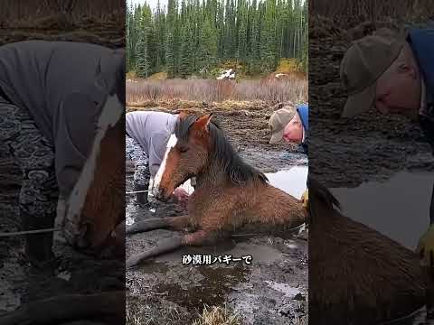 毎日一つ、心温まる 小話を