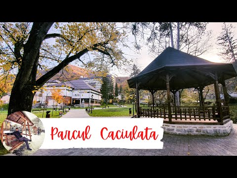 🟠 Am ajuns in Caciulata! M-am cazat si am iesit la o plimbare prin parc.