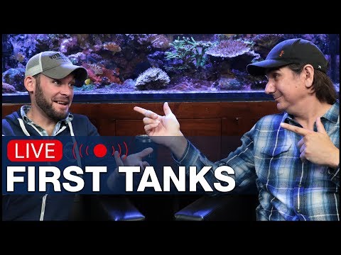 Ep2.1 - Talking First Reef Tanks & Our Biggest Challenges in that First Critical Year | BRS360