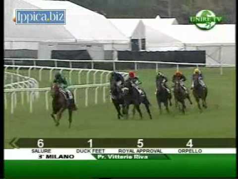 Premio Vittorio Riva 2011 (LISTED RACE)