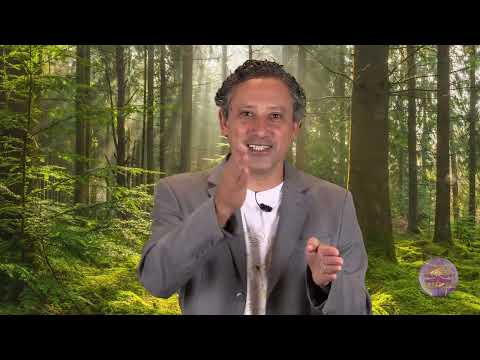 Initial Enneagram - Who is Type (Ray) 8? - Nicolai Cursino