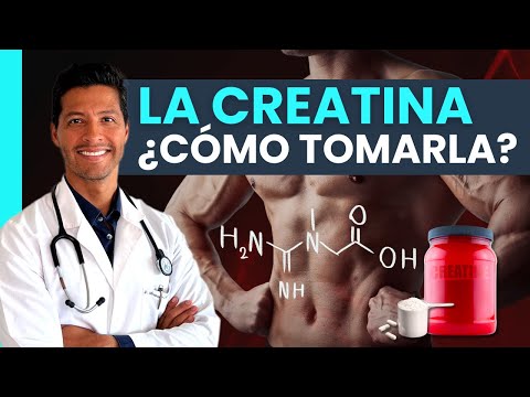 LA CREATINA NO ES MAGIA, PERO ESTO ES LO QUE SÍ HACE