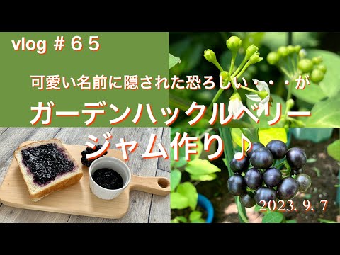 ラズベリーの茂みを剪定する時期 2022