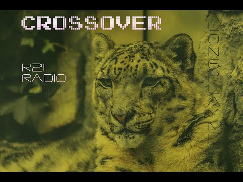 CROSSOVER | Electronic Music Long Play | November 2025 | K2iRadio