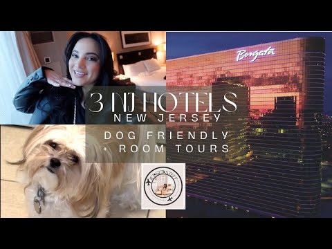 3 NEW JERSEY HOTELS + ROOM TOURS! BORGATA, ATLANTIC CITY | SHERATON | HOLIDAY INN EXPRESS |