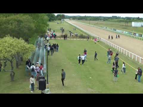 CARRERAS SINT ROCHA 9/11/25 | EN VIVO | URUGUAY