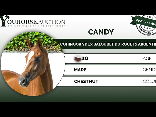 Candy