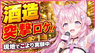 コラボ日本酒発売に際し酒造でロケする博衣こより【 #博衣こより / #ホロライブ切り抜き 】