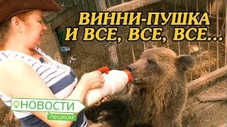 Новости пешком Винни-Пушка и все,все, все