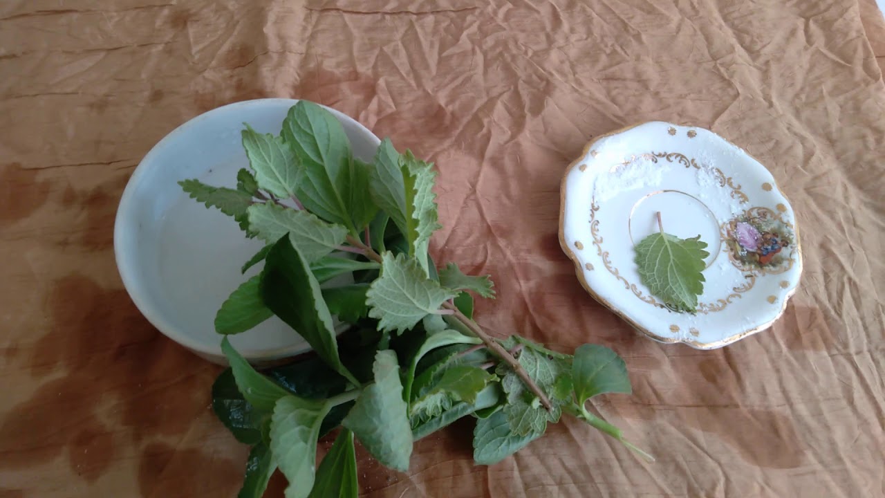 Benzimento ancestral contra quebranto, mal olhado e inveja