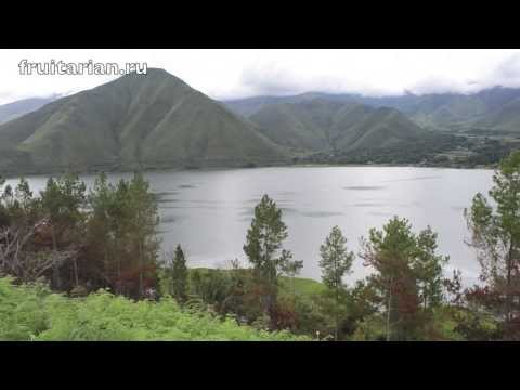 Все об озере Тоба (Lake Toba)