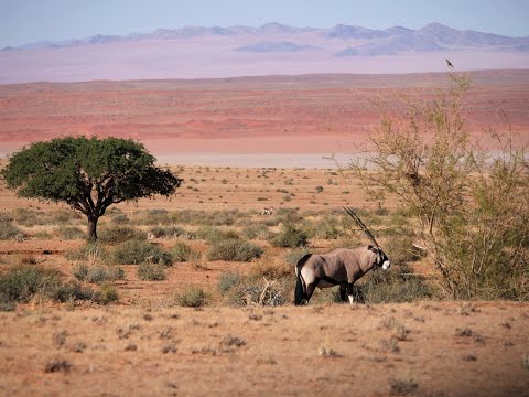 Süd Namibia 2024   Film 1