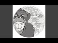 Monkey Cage (Steven Beyer - Laughing About Apes With Red Asses Remix)
