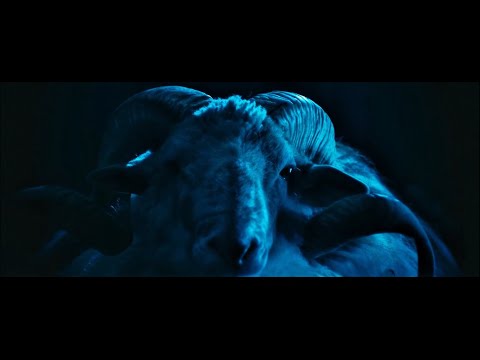 ZETAK - Aralarko Dama - Irati (2022) (traducida)